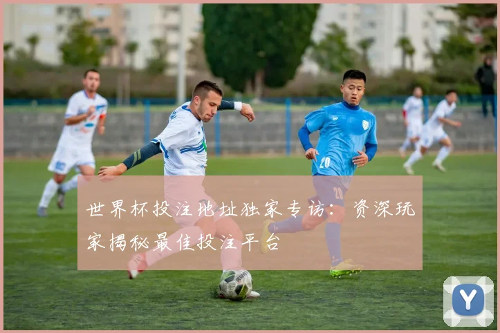 世界杯投注地址独家专访：资深玩家揭秘最佳投注平台