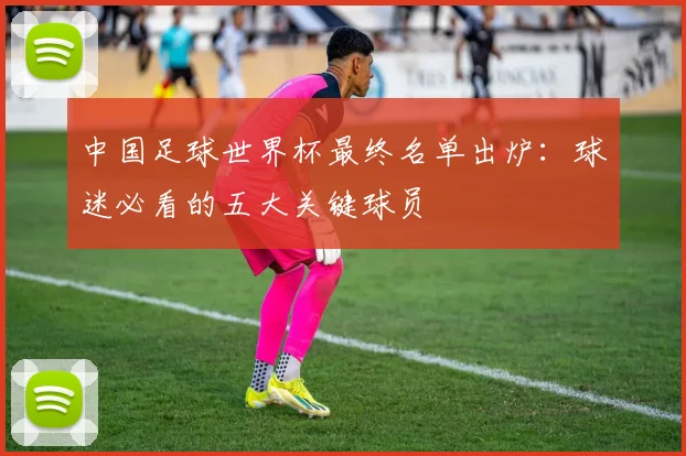 中国足球世界杯最终名单出炉：球迷必看的五大关键球员