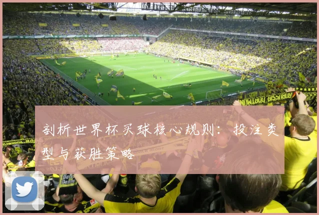 剖析世界杯买球核心规则：投注类型与获胜策略