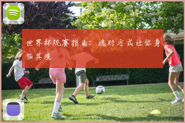 世界杯观赛指南：选对方式让你身临其境