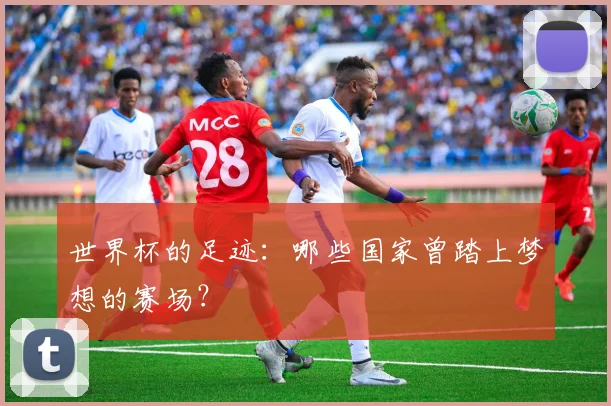 世界杯的足迹：哪些国家曾踏上梦想的赛场？