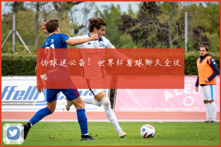 伪球迷必备！世界杯看球聊天全攻略