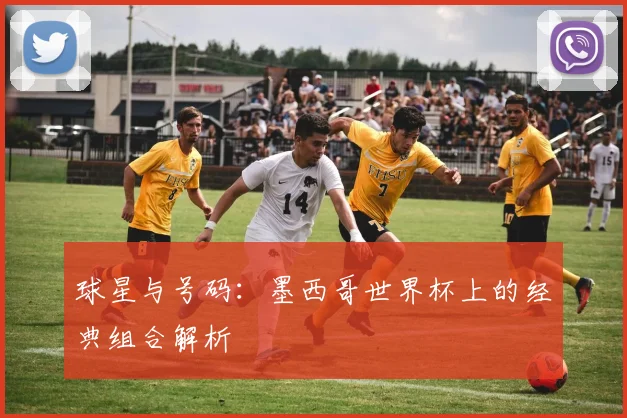 球星与号码：墨西哥世界杯上的经典组合解析