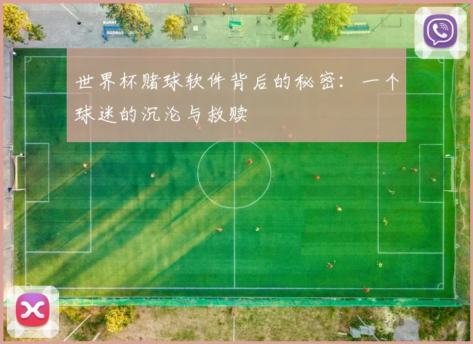 世界杯赌球软件背后的秘密:一个球迷的沉沦与救赎
