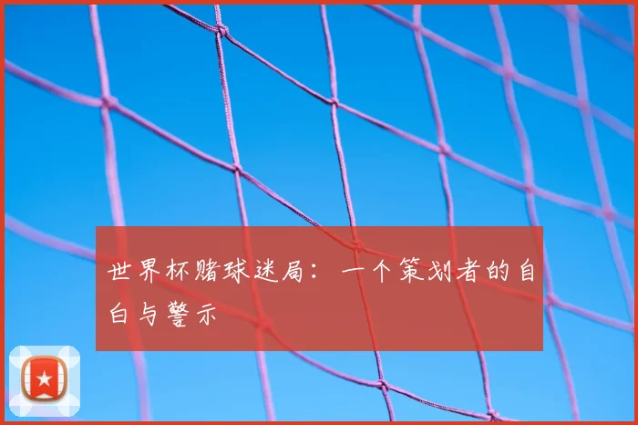 世界杯赌球迷局：一个策划者的自白与警示