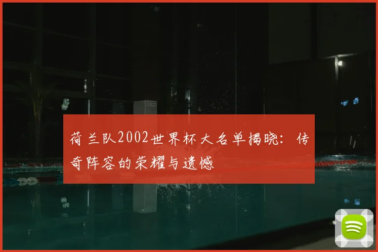 荷兰队2002世界杯大名单揭晓：传奇阵容的荣耀与遗憾