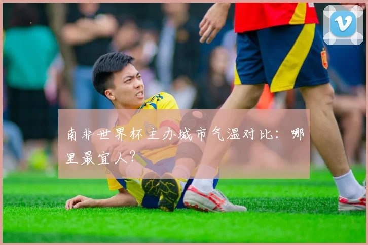 南非世界杯主办城市气温对比：哪里最宜人？