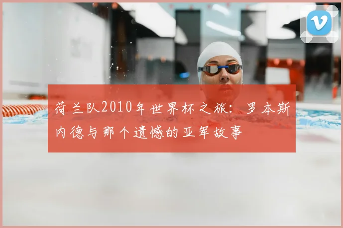 荷兰队2010年世界杯之旅：罗本斯内德与那个遗憾的亚军故事