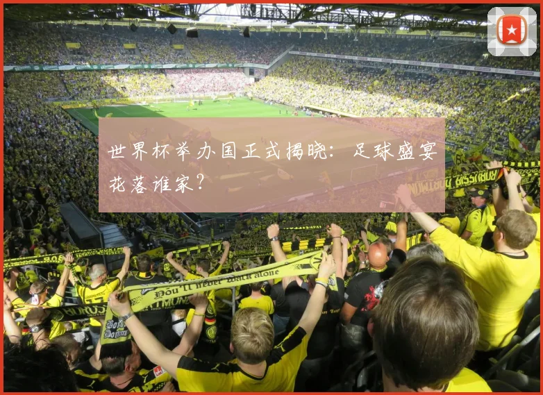 世界杯举办国正式揭晓：足球盛宴花落谁家？