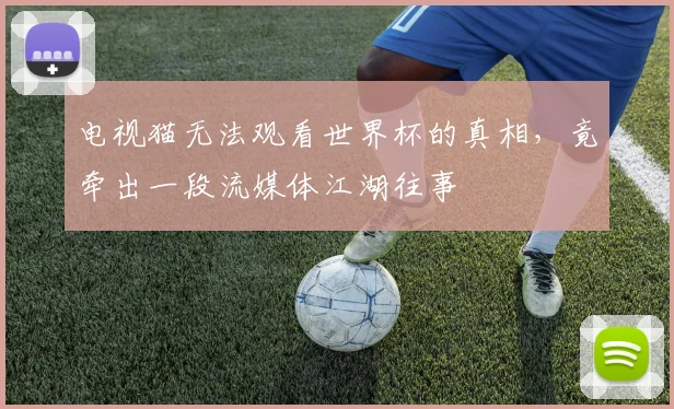 电视猫无法观看世界杯的真相，竟牵出一段流媒体江湖往事