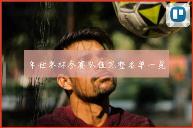 年世界杯参赛队伍完整名单一览