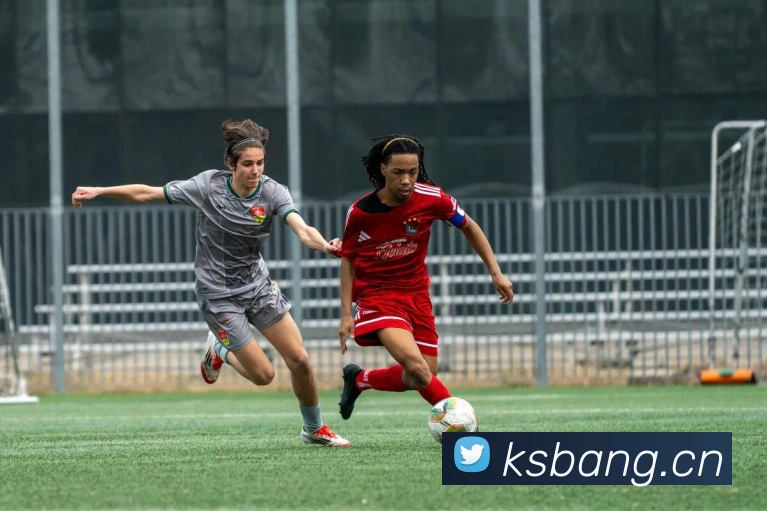 hth网站APP 封面图